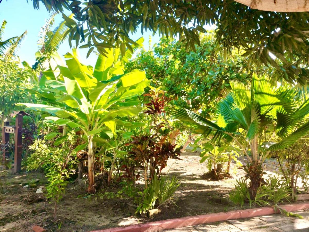 Vila Branca Tropical Brasil Residencial- Taperapuan Porto Seguro Exteriér fotografie