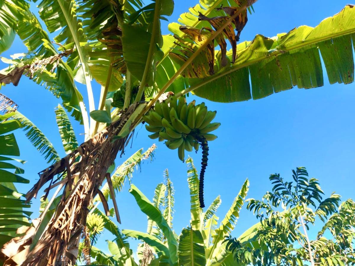 Vila Branca Tropical Brasil Residencial- Taperapuan Porto Seguro Exteriér fotografie
